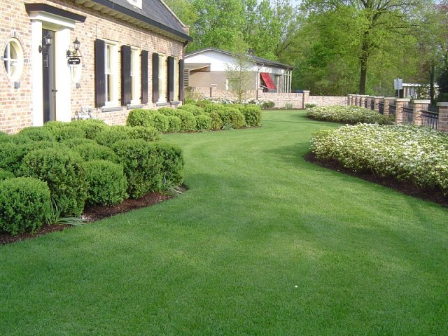 Aanleg gehele tuin nieuwbouw, Someren